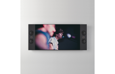 Profile PrSEVEN Sidemount Speakers