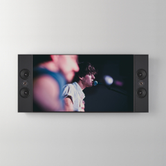 Profile PrSEVEN Sidemount Speakers