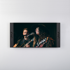 Profile Pr250UX Sidemount/On-Wall Speakers